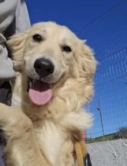 CHAN - ein armer Wurm - Regensburg