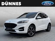 Ford Kuga, 2.5 ST-LINE X, Jahr 2022 - Regensburg