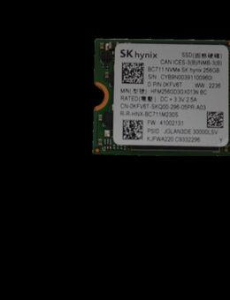 SK Hynix 256GB SSD M.2 2230 NVMe BC711 - Frankfurt (Main) Griesheim