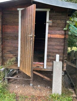 Großes Gartenhaus, Hühnerhaus zu verschenken - Offenburg
