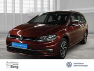 VW Golf Variant, 1.6 TDI JOIN, Jahr 2019 - Oldenburg (Holstein)