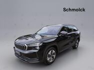 Skoda Kodiaq, 2.0 TDI Selection, Jahr 2024 - Emmendingen