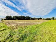 Einmalig: ca. 2,8 ha großes Grundstück mit viel Potenzial im Zentrum von Garrel! - Garrel