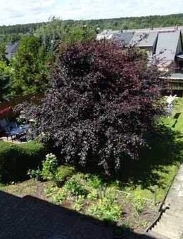 Helle und ruhig gelegene 3-Zimmer-Wohnung im 1. Obergeshoß in Auma zu vermieten - Auma-Weidatal