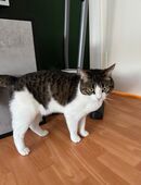 Kira und Mia in 64546