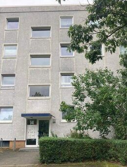 Der Umzug kann starten, warum noch warten? - Braunschweig