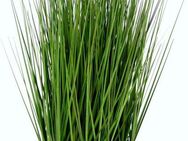 Kunstgras Gras, I.GE.A., Höhe 45 cm, in Keramikschale