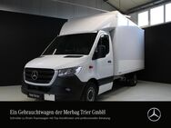 Mercedes Sprinter, 0.7 317 KOFFER LBW5t, Jahr 2022 - Trier