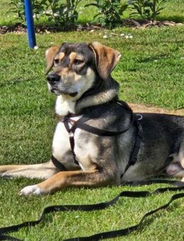 Monti Unser verschmuster Jungspund - Eixen