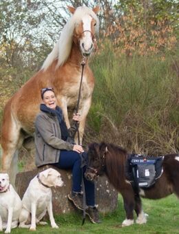 Private Hundetagesbetreuung im Kreis Recklinghausen - Marl (Nordrhein-Westfalen)