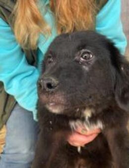 Die schöne Franzi sucht das Glück - München