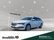 Skoda Superb, Combi Style 110kw TDI, Jahr 2024 - Niestetal