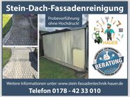 Stein,- Dach und Fassadenreinigung vom Profi - Bendorf (Rheinland-Pfalz)