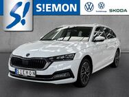 Skoda Octavia, Combi TDI Style, Jahr 2023 - Lengerich (Nordrhein-Westfalen)