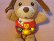 Melodienhündchen mit Sound von VTech für kleine Kinder - Halbemond
