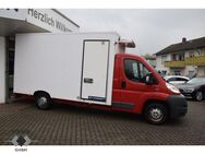 Fiat Ducato 2.2 Thermo-King V300 Kühlkoffer 3.5 T Lan - Bickenbach (Hessen)