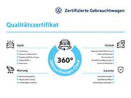 VW Golf, 1.5 TSI VIII Active, Jahr 2023 - Lemgo