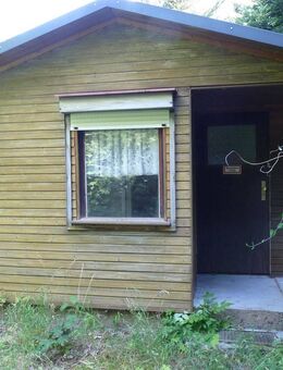 Großes Wochenendgrundstück bei Grimma OT Golzern zu verkaufen - Grimma