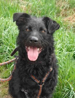 Jami sucht dringend Hilfe - Berlin
