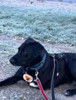 Verliebst du dich in Rajani? - München