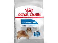 Royal Canin Maxi Light Weight Care - Sparpaket: 2 x 12 kg