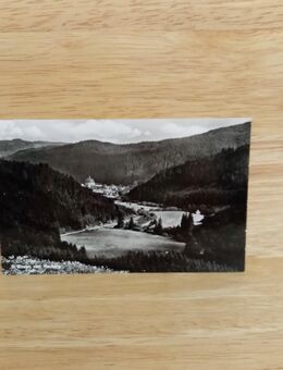 Ansichtskarte-AK-686-St. Blasien im Schwarzwald. - Nörvenich