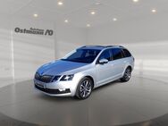 Skoda Octavia, 1.0 TSI Combi Soleil FLA 2xKlima, Jahr 2019 - Fritzlar