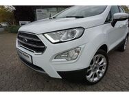 Ford EcoSport Titanium 1.0 EcoBoost RFK SHZ PDC 1HAND! - Peine