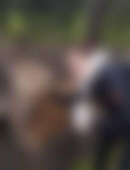 Jes*** - Herzogenrath