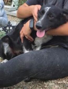 Familie für Fenna gesucht - München