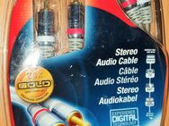Philips Digitales Koaxial Audio Stereo 24K Kabel 1 Meter ( NEU ) - Verden (Aller)