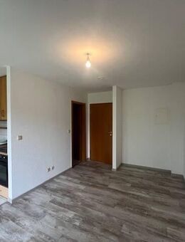 Marko Winter Immobilien --- Mosbach-Masseldorn: gemütliche 1-Zimmer-Wohnung mit Balkon - Mosbach