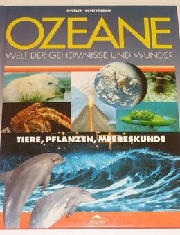 Sachbuch Ozeane Welt der Geheimnisse und Wunder - Lorsch (Karolingerstadt)