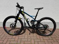 Radon Slide 160 Team Replica – Carbon-Enduro | 27,5” - Hünfeld (Konrad-Zuse-Stadt)