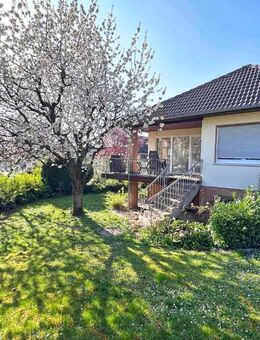 Familienfreundlicher Bungalow in erstklassiger Lage am Niederberg - Bad Vilbel! - Bad Vilbel