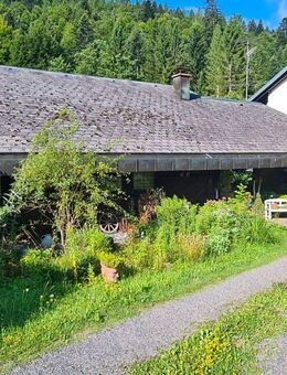 Charmantes Schwarzwaldhaus in Todtmoos - Todtmoos