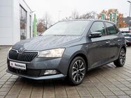 Skoda Fabia, 1.0 MPI DRIVE W-Paket, Jahr 2020 - Schenefeld (Landkreis Pinneberg)