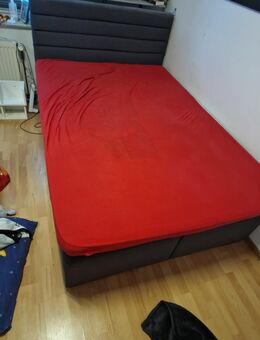 Bett Boxspringbett - Elsfleth Zentrum
