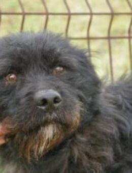 Der kleine Bär mit dem großen Herzen - München