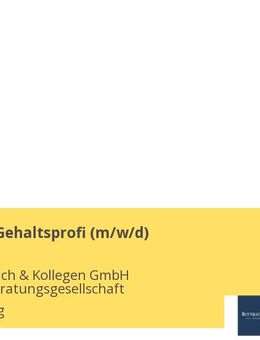 Lohn- und Gehaltsprofi (m/w/d) - Lüneburg