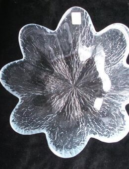 Holmegaard Koral Glas Schale Schüssel 20 cm Blüte Design Sidse Werner Dänemark Kopenhagen  8,- - Flensburg
