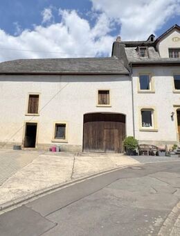 Charmantes ehemaliges Winzerhaus mit großem Nebengebäude. - Minheim