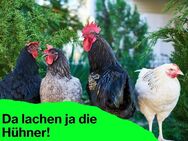 Innovative Bautechnik - Zukunftssicher wohnen - Dortmund