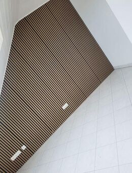 Perfekt f. Singles oder Paare: Wohnzimmer, Küche, Duschbad + Schlafplatz im Dachgiebel - Wackernheim