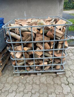 Brennholz, Hartholz trocken - Moers