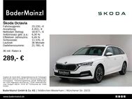 Skoda Octavia, 2.0 TDI Combi Ambition, Jahr 2021 - Feldkirchen-Westerham