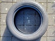 4 Winterreifen Dunlop Winter-Sport 5, 225/55 R 16 - Bad Tölz