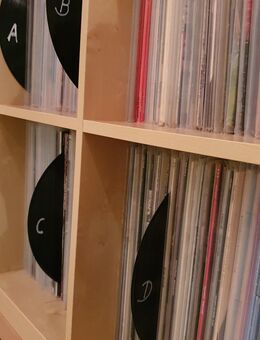 Schallplatten LP's & Maxisingles von Rock & Pop von privat gesucht - Berglern