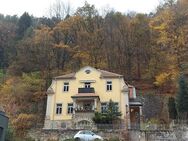Sächsische Schweiz - 2 ETW in kleiner Villa in Bad Schandau - Bad Schandau