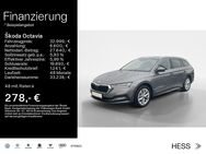 Skoda Octavia, 2.0 TSI Combi STYLE 17ZOLL, Jahr 2024 - Büdingen Zentrum